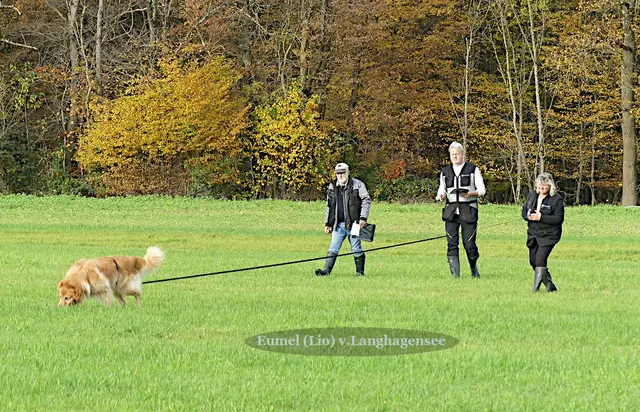 Foto: Urheberin Bild: Elke Wülk