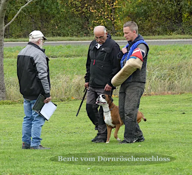 Foto: Urheberin Bild: Elke Wülk