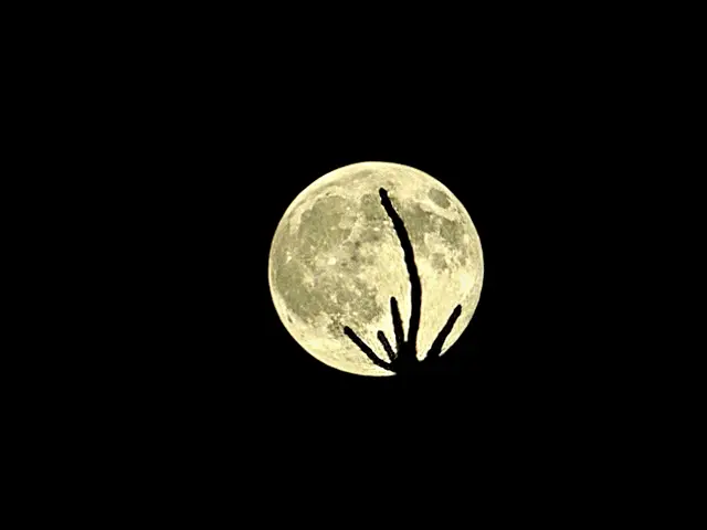 Nach Hause telefonieren | Foto: Heidrun Rosenberger