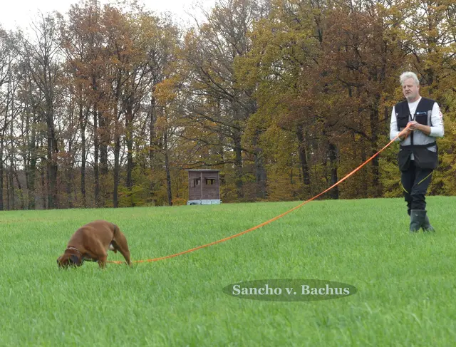 Foto: Urheberin Bild: Elke Wülk