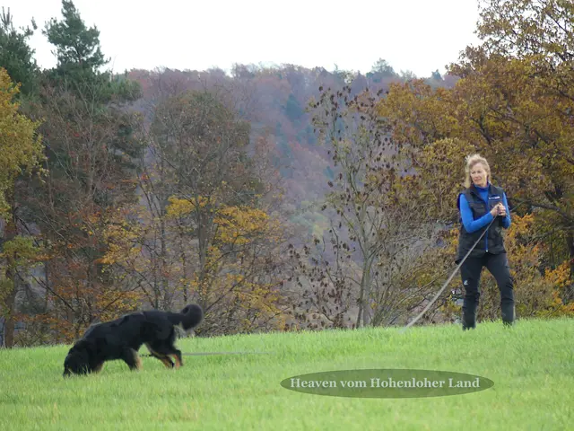 Foto: Urheberin Bild: Elke Wülk