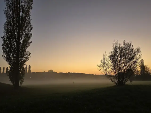 Nebelschwaden sorgen für eine mystische Stimmung.  | Foto: Heidrun Rosenberger