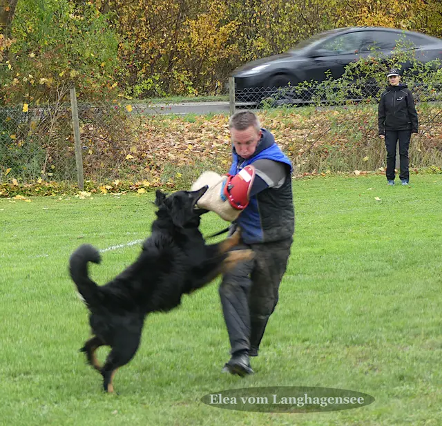 Foto: Urheberin Bild: Elke Wülk