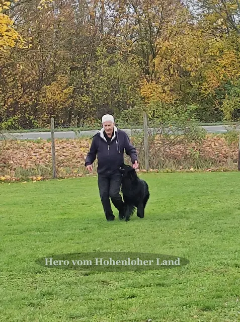 Foto: Urheberin Bild: Elke Wülk