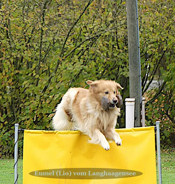 Foto: Urheberin Bild: Elke Wülk