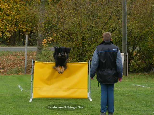Foto: Urheberin Bild: Elke Wülk