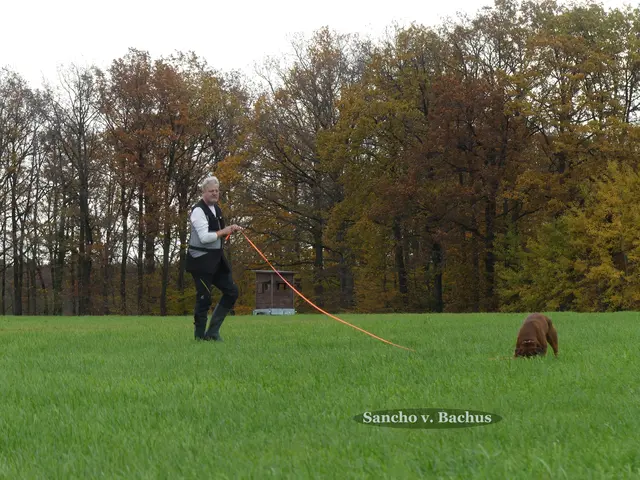 Foto: Urheberin Bild: Elke Wülk