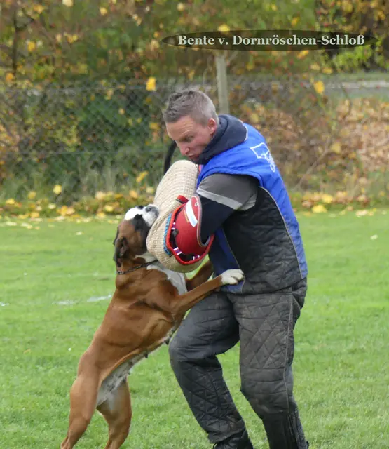 Foto: Urheberin Bild: Elke Wülk