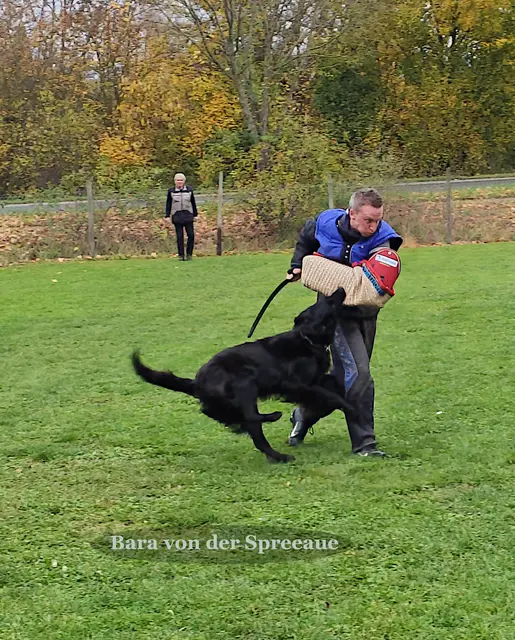 Foto: Urheberin Bild: Elke Wülk