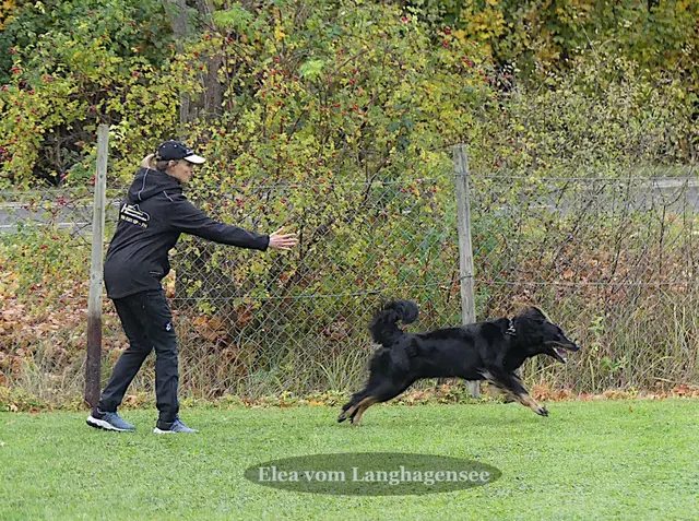 Foto: Urheberin Bild: Elke Wülk
