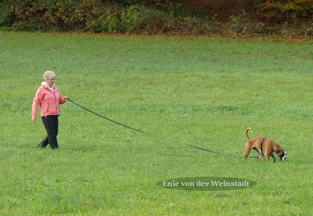 Foto: Urheberin Bild: Elke Wülk