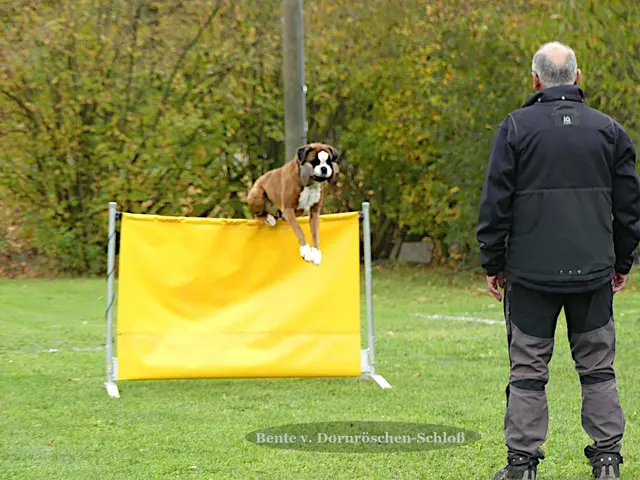 Foto: Urheberin Bild: Elke Wülk