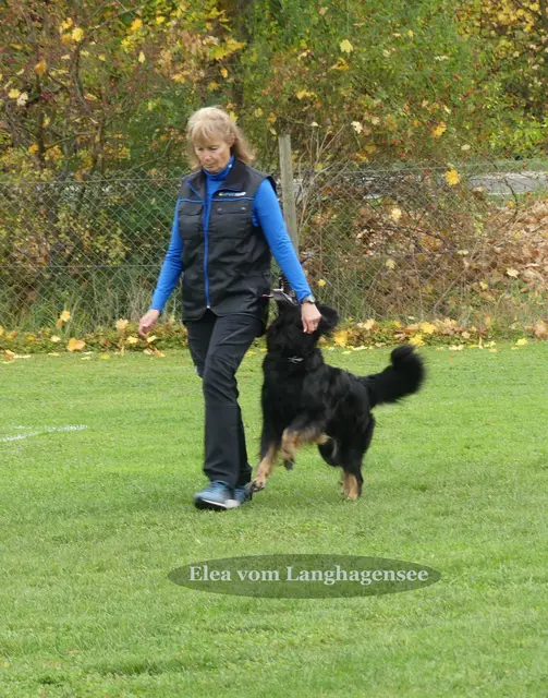 Foto: Urheberin Bild: Elke Wülk