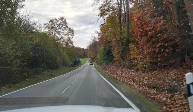 Die Fahrt zur Fährte | Foto: Urheberin Bild: Elke Wülk