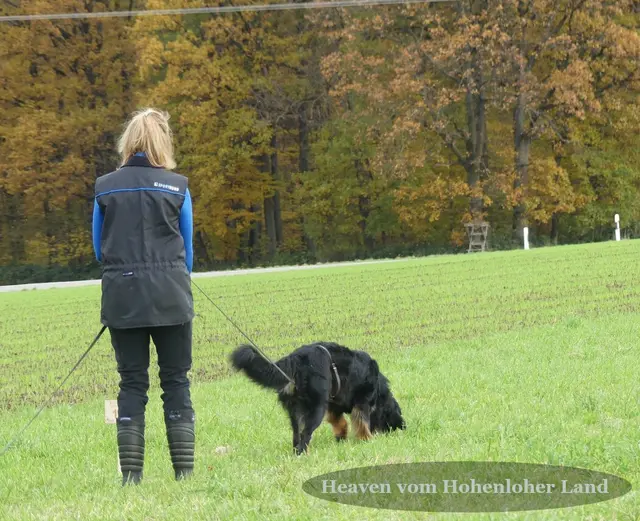 Foto: Urheberin Bild: Elke Wülk