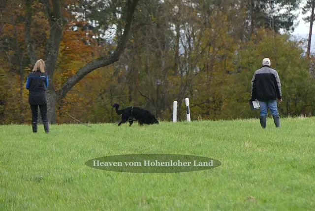 Foto: Urheberin Bild: Elke Wülk