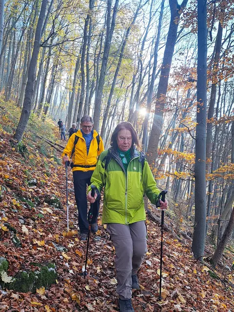 Durch den Bannwald entlang des Albtraufs führt die Tour abwärts wieder zurück zum Parkplatz. | Foto: Isolde Reitz