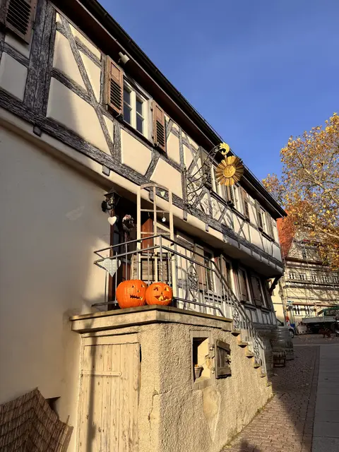 Foto: Heide Böllinger aus Bad Friedrichshall