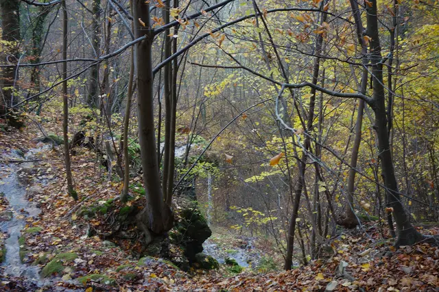 Neidlinger Wasserfall. | Foto: Isolde Reitz