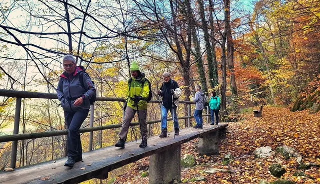Über die Brücke des Neidlinger Wasserfalles hoch zum Bahnhöfle. | Foto: Isolde Reitz