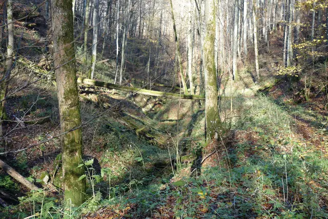 Die wilde Schlucht führt hinab ins Filstal. | Foto: Isolde Reitz