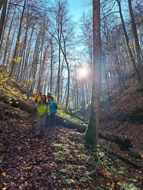 Nächster Schluchtenweg. | Foto: Isolde Reitz