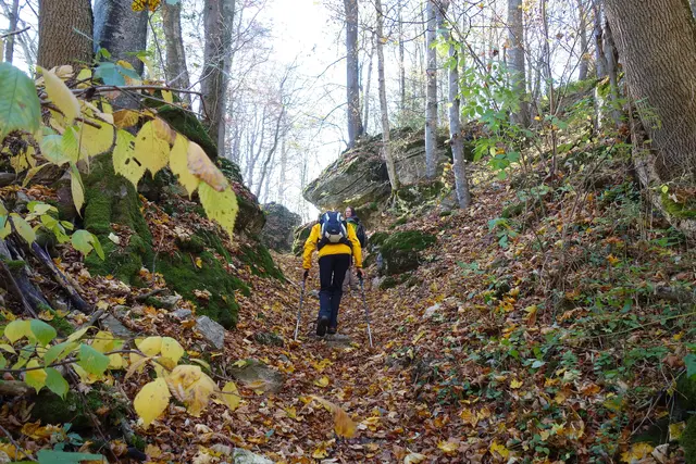 Aufstieg durch das Autal hoch zum Ziegelhof. | Foto: Isolde Reitz