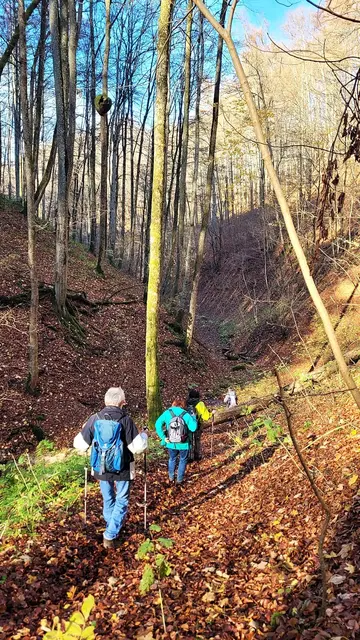Hohlweg Richtung Burkhardtshöhle. | Foto: Isolde Reitz
