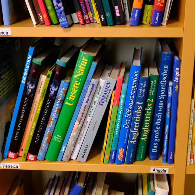 Foto: Eduard Warenik