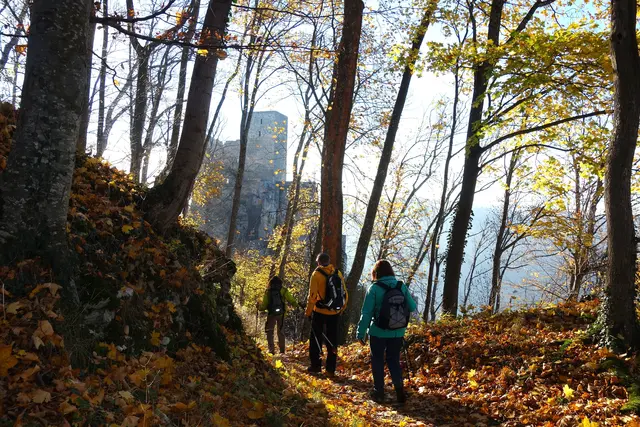 Burgruine Reußenstein in Sicht. | Foto: Isolde Reitz