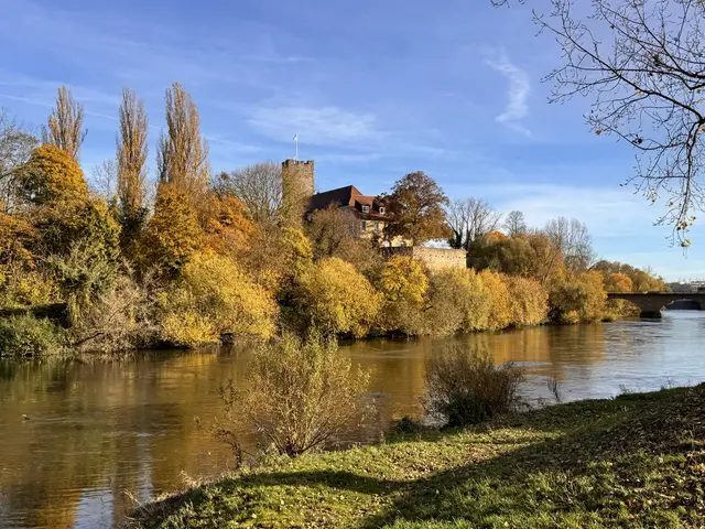 Foto: Heide Böllinger aus Bad Friedrichshall