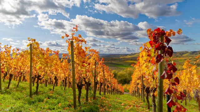 Foto: Eigenes Bild TB