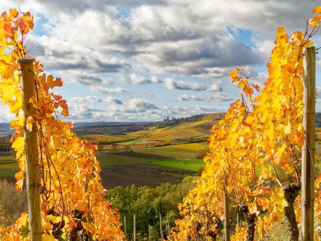 Foto: Eigenes Bild TB