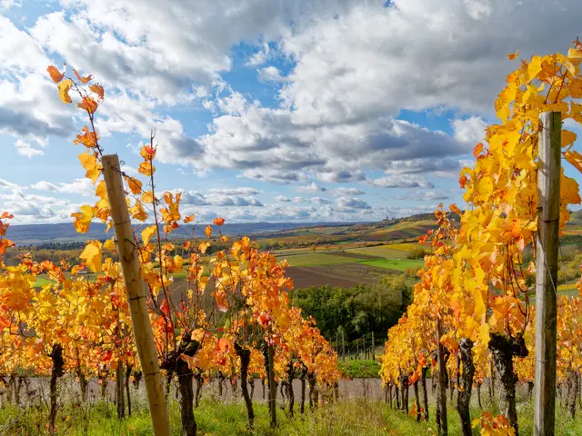 Foto: Eigenes Bild TB