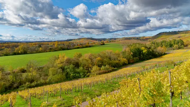 Foto: Eigenes Bild TB