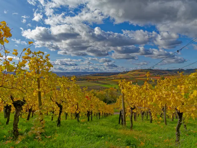 Foto: Eigenes Bild TB