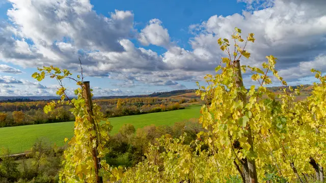 Foto: Eigenes Bild TB