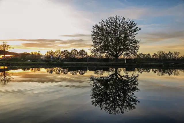 Foto: Peter Rössler