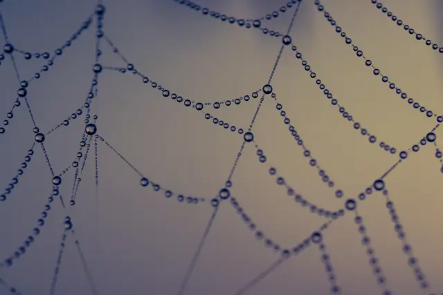 Foto: Stephanie Rüdele