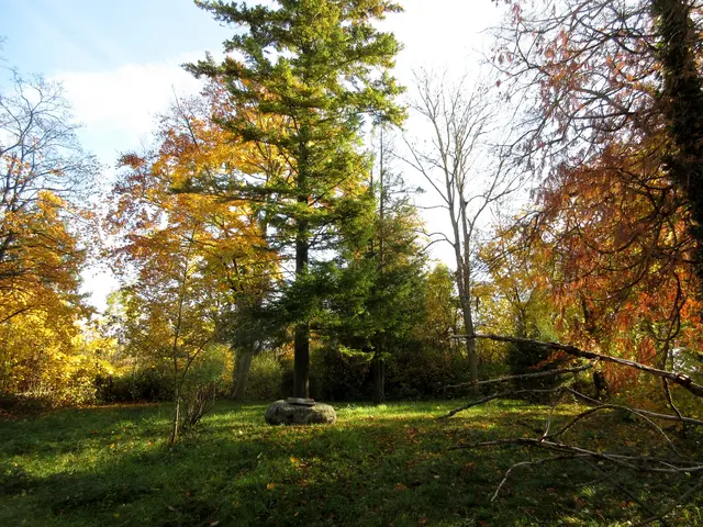 Bis 1991 der Friedhof des Behindertenheims Markgröningen | Foto: WandernGabyErich