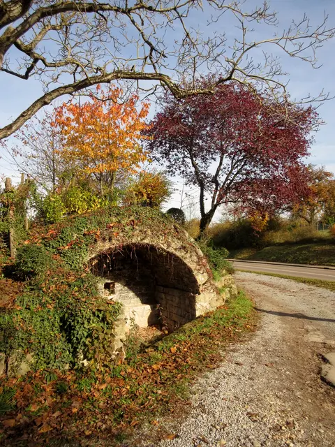 ehemaliges Wengertschützenhaus, Gewölbe erbaut 1812 | Foto: WandernGabyErich