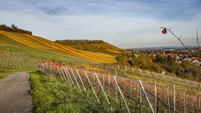 Pfaffenhofen | Foto: ehw