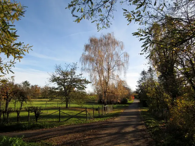 Herbstliche Idylle | Foto: WandernGabyErich