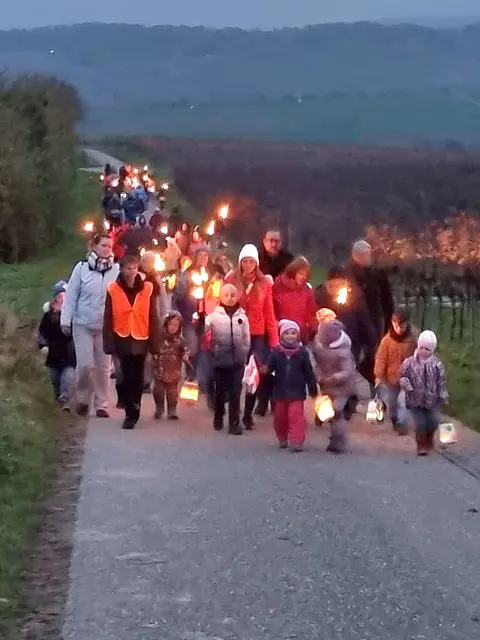 Viele Kinder und Familien freuten sich, beim Fackellauf der Apis Brackenheim Anfang November dabei sein zu können.  | Foto: Jochen Baral