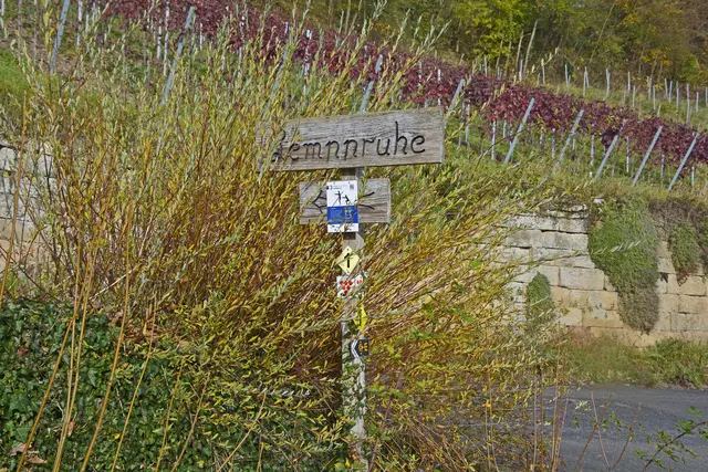 Die Leppruhe ist unser Ziel. | Foto: Michael Harmsen