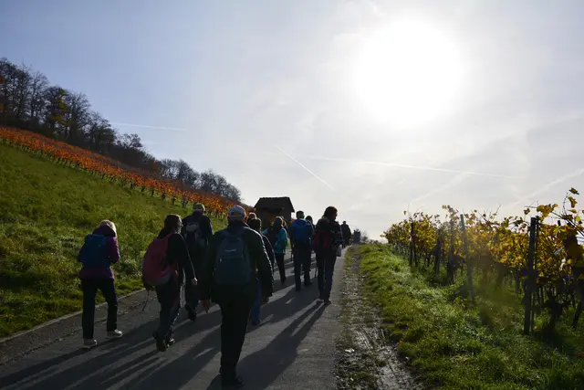 Der Sonne entgegen. | Foto: Michael Harmsen