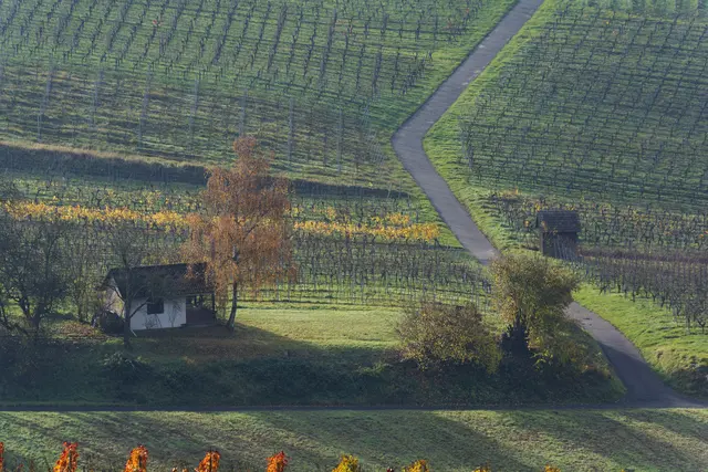 Das Teleobjektiv verdichtet die Landschaft zu einem fast grafisch Wirkenden Bild. | Foto: Michael Harmsen