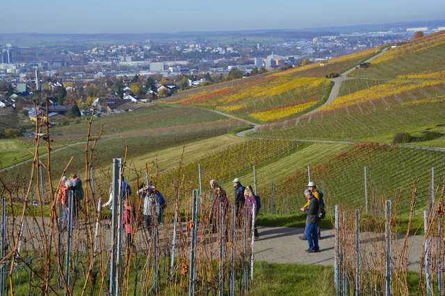 Wandern vor der prächtigen Kulisse Heilbronns. | Foto: Michael Harmsen