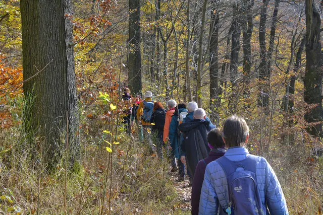 Der Randweg ist immer wieder ein Genuß. | Foto: Michael Harmsen