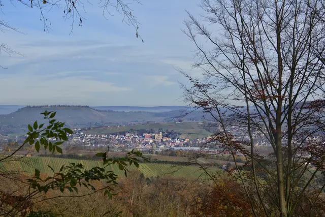 Herrlich auch der Blick auf Erlenbach. | Foto: Michael Harmsen